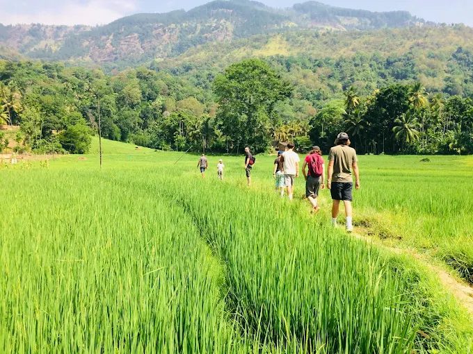 Kurugama gallery photo 1