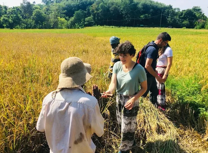 Full-Day Village Experience